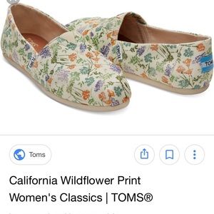 Toms Wildflower
